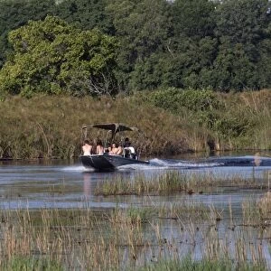 Tourists explore the Monachena River by speed boat. Okavango Delta, Botswana