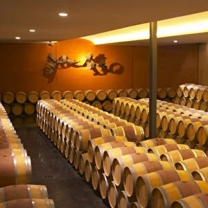The barrel aging cellar with a sculpture on the far end wall symbolising the flight