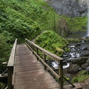 Bridge at Latourell Falls, Columbia River Gorge, Oregon, USA