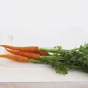 Four carrots with green shoots