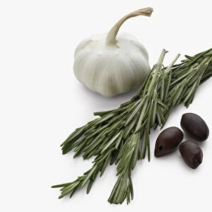 Garlic bulb, rosemary and black olives