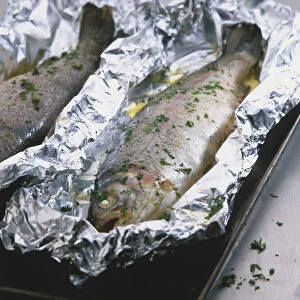 Truite a L Ardennaise, whole trouts sprinkled with fresh green herbs, laid on baking tray semi-wrapped in foil