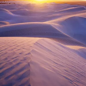 South Australia, Nullarbor National Park, sand dunes at sunset
