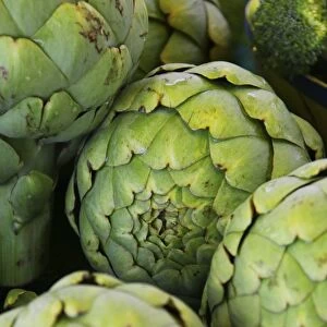 Artichokes on a market, French Riviera, France, Europe