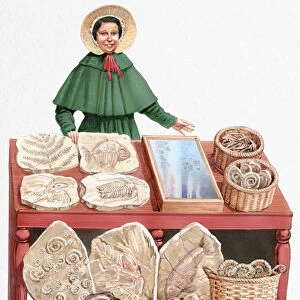 Illustration of 19th century paleontologist Mary Anning with collection of fossils