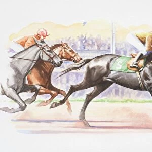 Jockeys riding in horse race, spectators in background, side view