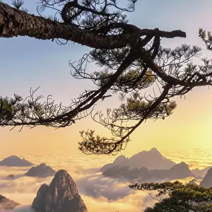 Mt. Huangshan in Anhui, China