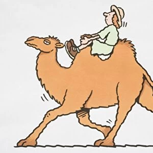 Safari tourist riding a camel