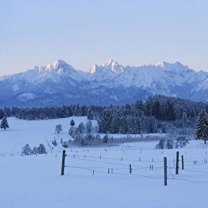 Tannheim Mountains at sunrise in winter, near Halblech, Swabia, Bavaria, Germany