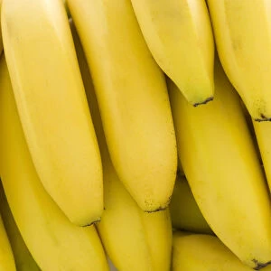 Close up of binch of bananas credit: Marie-Louise Avery / thePictureKitchen / TopFoto