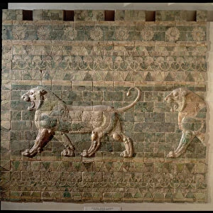 00351 Frieze of lions from the Palace of Darius the Great (548-486 BC) from Susa, Iran
