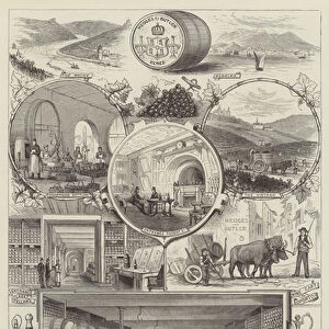 Advertisement, Hedges and Butler (engraving)