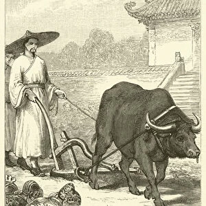 An ancient Emperor of China guiding the Plough (engraving)