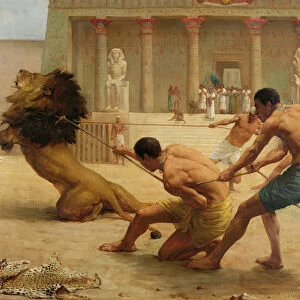 Ancient Sport (oil on canvas)