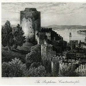 The Bosphorus, Constantinople, engraved by J. Godfrey (engraving)