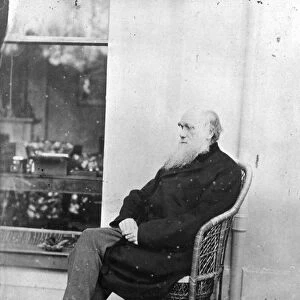Charles Darwin (b / w photo)