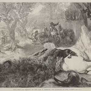 Dead Swan and Peacock (engraving)
