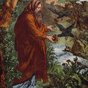 Elijah and the Ravens (coloured engraving)