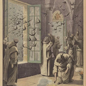 A flock of migrating swallows saved from a snowstorm by the monks of the Monastery of St Bernard in the Alps (colour litho)