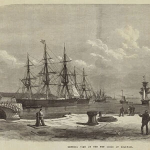 General View of the New Docks at Millwall (engraving)