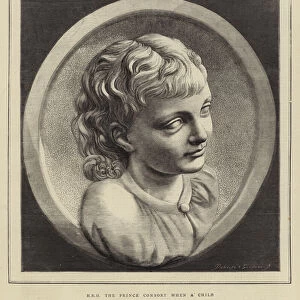HRH the Prince Consort when a Child (engraving)