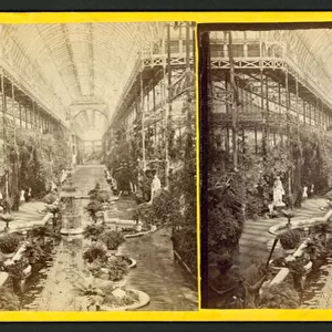 Interior of the Crystal Palace, stereoscopic photo (b / w photo)