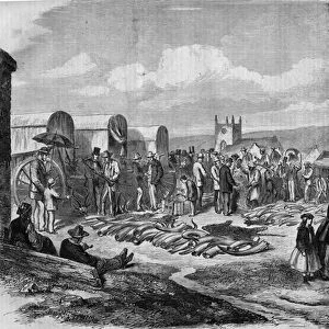Ivory and skins market in Grahamstown, Albania, Cape Colony, 19th century