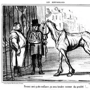 Les hippophages (eaters of horses), Engraving by Honore Daumier, 1856 "Take me this trust, it will be tender as chicken! "- butcher - butcher - horse meat - food scandal
