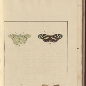 Lindsay Drawings Vol. VI, 36, 1750-79 (w / c on paper)