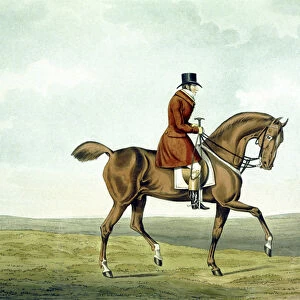 A Meltonian, As He Was, from The Meltonians, engraved by George Hunt