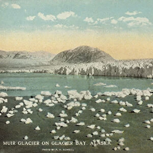 Muir Glacier, Glacier Bay, Alaska, USA (colour photo)