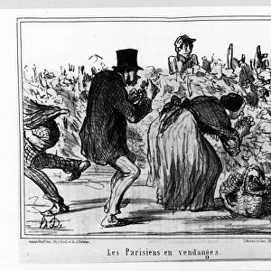Parisian sketches: Parisians in harvest - by Daumier, in "Charivari"