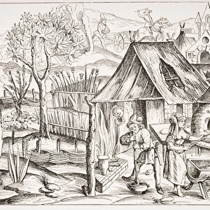 Peasants Cultivating Grain and Manufacturing Barley and Oat Bread, after a woodcut