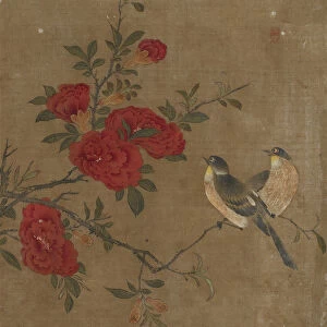 Ten pictures of birds and flowers (colour on silk)