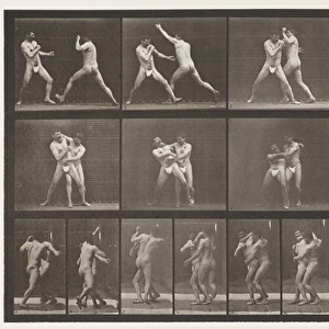 Plate 331. Boxing; Stop for Cross-Buttocks (Shoes), 1872-85 (collotype on paper)