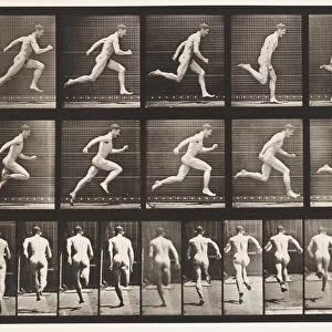 Plate 63. Running at Full Speed. 1872-85 (collotype on paper)