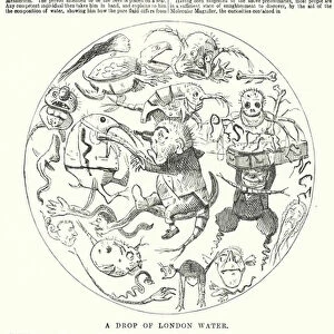 Punch cartoon: The Wonders of a London Water Drop (engraving)