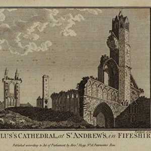 St Reguluss Cathedral, at St Andrew s, in Fifeshire (engraving)