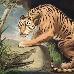 Tiger and Crocodile, engraved by Charles Turner (1773-1857), pub. by James Daniell & Co