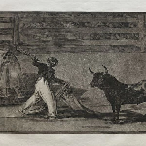 Bullfights Origin Harpoons Banderillas 1876 Francisco de Goya