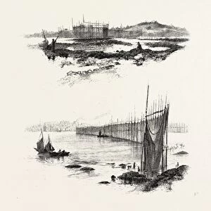 New Brunswick, Salmon Weirs, St. John Harbour, Canada, Nineteenth Century Engraving