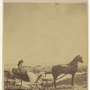 woman seated horse-drawn carriage George P Critcherson
