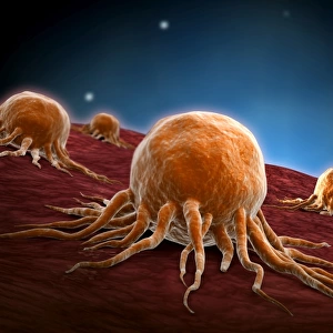 Conceptual image of cancer virus