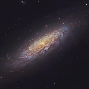 NGC 6503, spiral galaxy in the constellation Draco