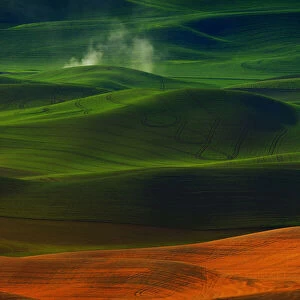 Morning in Palouse