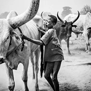 Mundari cattle camp - South Sudan