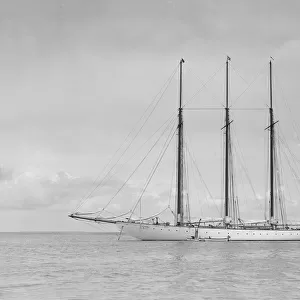 The American three mast schooner Karina, 1912. Creator: Kirk & Sons of Cowes