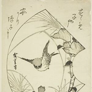 Autumn Flower and Sparrow, c. 1835. Creator: Ando Hiroshige