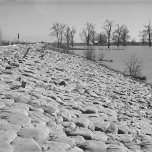The Bessie Levee augmented with sand bags during the 1937 flood near Tiptonville, Tennessee, 1937. Creator: Walker Evans