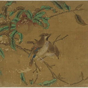 Birds and peaches, Ming dynasty, 1368-1644. Creator: Unknown